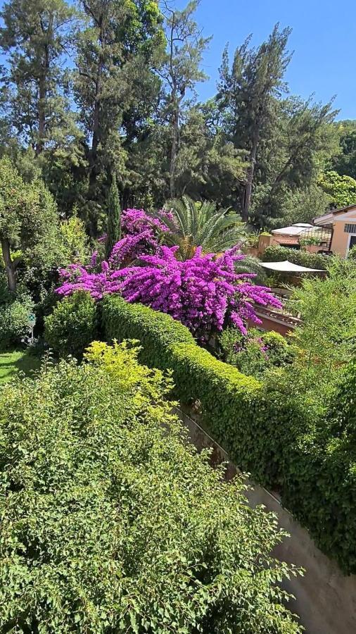 Bed & Breakfast Riari Garden Rome